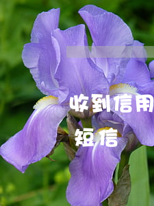 收到信用卡逾期詐騙短信(信用卡逾期的詐騙短信)