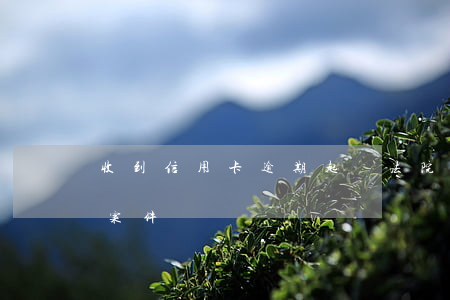 收到信用卡逾期起訴(法院會受理信用卡逾期案件嗎)