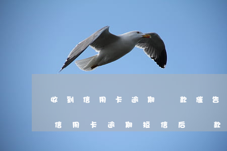 收到信用卡逾期還款催告函(銀行發(fā)信用卡逾期短信后還款)
