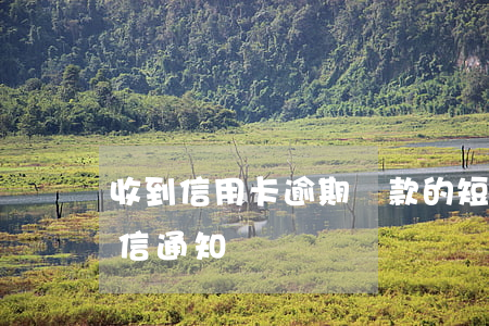 收到信用卡逾期還款的短信(還信用卡會有短信通知嗎)