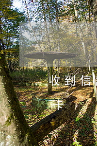 收到信說自己欠信用卡(收到信說自己欠信用卡)
