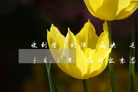 收到借唄的律師函快遞送到家里了(借唄發(fā)律師函什么意思)