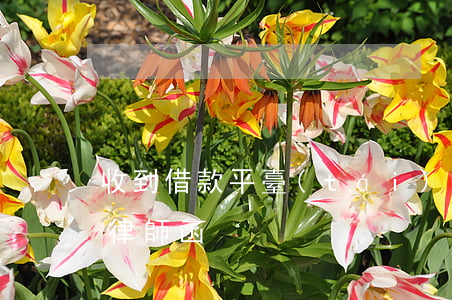 收到借款平臺(tái)的律師函(收到借唄律師函)