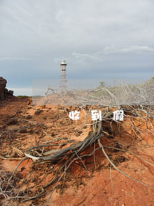 收到假幣怎么辦(收到假人民幣怎么處理)