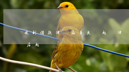 收到催款律師函多久會起訴(律師催告函多久后起訴)