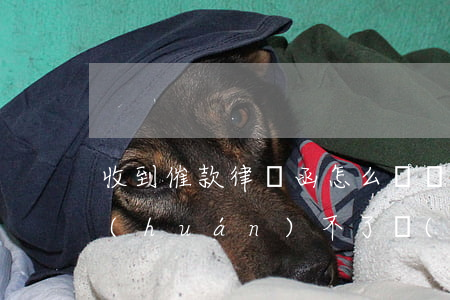 收到催款律師函怎么辦網(wǎng)貸環(huán)不了(網(wǎng)貸逾期接到律師函怎么辦)