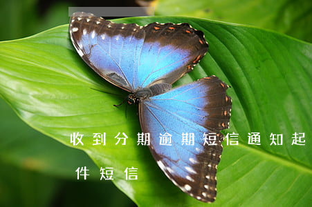收到分期逾期短信通知起诉(分期平台逾期信件短信)
