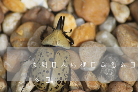 收到別人的律師函怎么辦(如果收到律師函怎么辦)