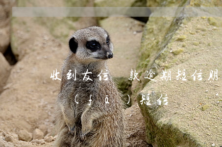 收到友信貸款逾期短信(朋友的借款逾期給我發(fā)短信)