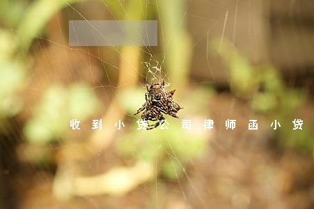 收到小贷公司律师函(小贷发律师函是真的么)