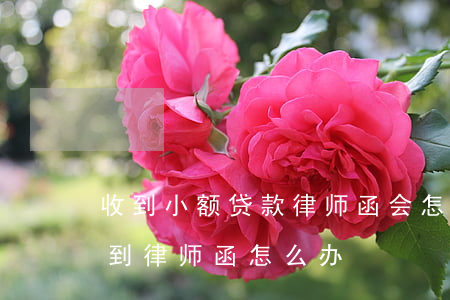 收到小额贷款律师函会怎样(小额贷款没还收到律师函怎么办)