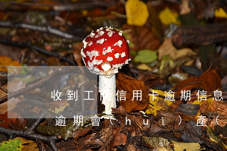 收到工商信用卡逾期信息(工商銀行的信用卡逾期會(huì)產(chǎn)生什么后果)