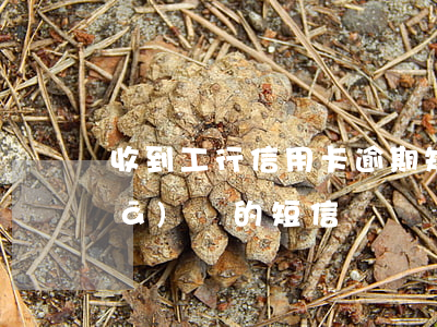 收到工行信用卡逾期短信(信用卡逾期發(fā)來的短信)
