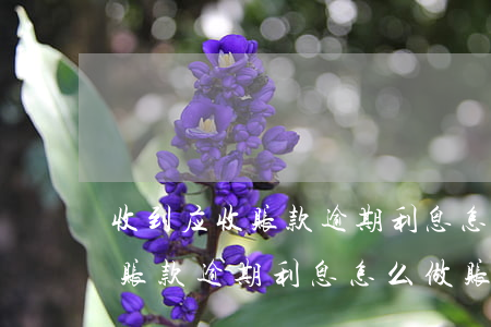 收到应收账款逾期利息怎么做账-收到应收账款逾期利息怎么做账务处理