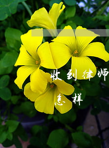 收到律师函会怎样(度小满金融收到律师函会怎样)