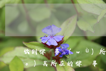 收到律師事務(wù)所的通告(通報(bào)其所在的律師事務(wù)所)