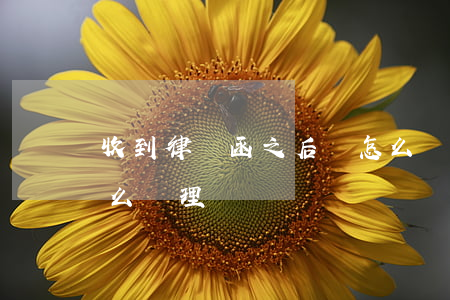 收到律師函之后該怎么辦(收到律師函后要怎么處理)