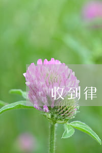 收到律師函代表什么(律師函是什么?)