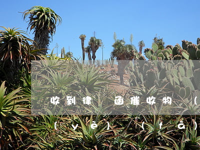 收到律師函催收物業(yè)費怎么辦(物業(yè)發(fā)來律師函催物業(yè)費我該怎么辦)