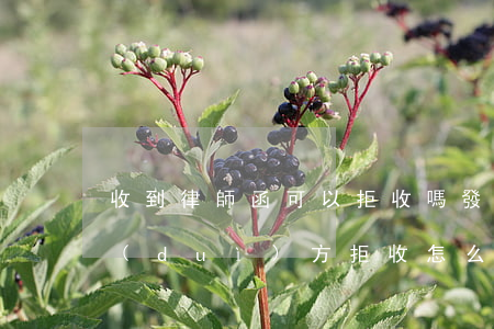 收到律師函可以拒收嗎(發(fā)律師函對(duì)方拒收怎么辦)