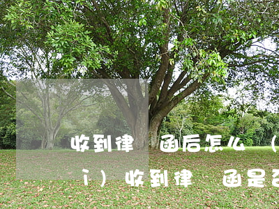 收到律師函后怎么應(yīng)對(duì)(收到律師函是否一定要回應(yīng))