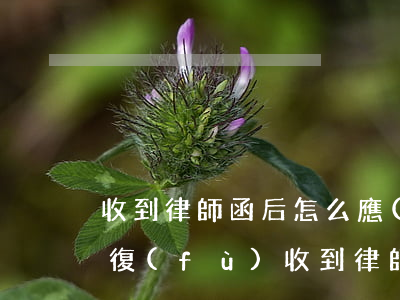 收到律師函后怎么應(yīng)對律師回復(fù)(收到律師函后怎么應(yīng)對律師回復(fù))