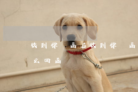 收到律師函后(收到律師函后個(gè)人怎么回函)