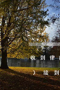 收到律師函如何應(yīng)對(duì)(接到律師函怎么辦)