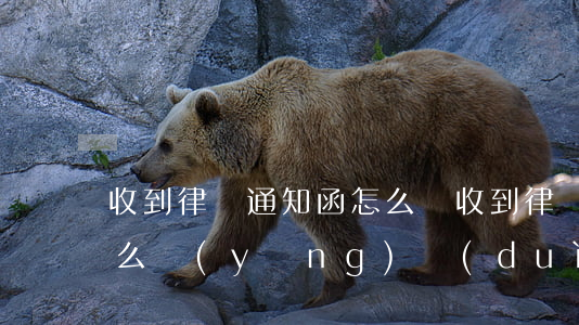 收到律師通知函怎么辦(收到律師通告函后怎么應(yīng)對(duì))