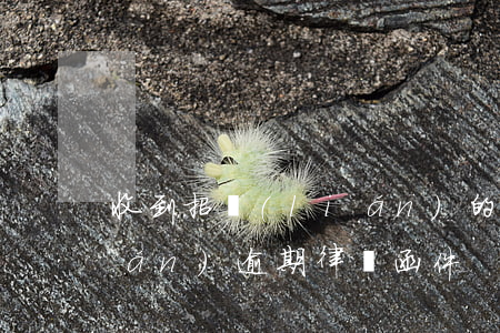 收到招聯(lián)的律師函（招聯(lián)逾期律師函件）