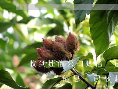 收到捷信公司短信說已起訴（捷信逾期發(fā)來信息說已被起訴）