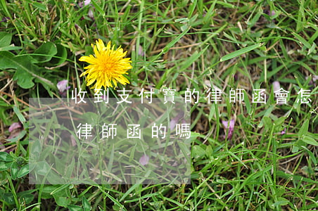 收到支付寶的律師函會怎么樣(有收到支付寶律師函的嗎)