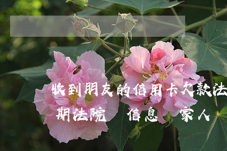 收到朋友的信用卡欠款法律通知書（信用卡逾期法院發信息給家人）