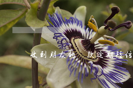 收到朋友的貸款逾期短信怎么攔截