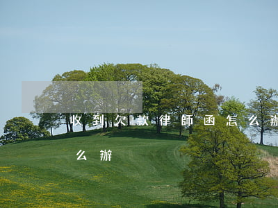 收到欠款律師函怎么辦(欠貸款收到律師函怎么辦)