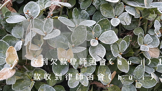 收到欠款律師函會(huì)上門催收么(欠款收到律師函會(huì)怎么樣)