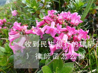 收到民生銀行的律師函(民生信用卡發(fā)律師函怎么辦)