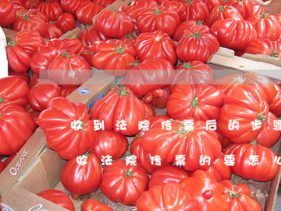 收到法院传票后的步骤可以不理吗(如果不签收法院传票的要怎么处理)