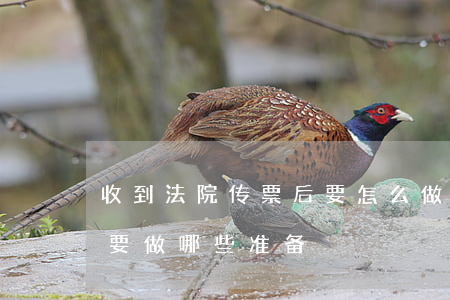 收到法院传票后要怎么做(收到法院的传票后要做哪些准备)