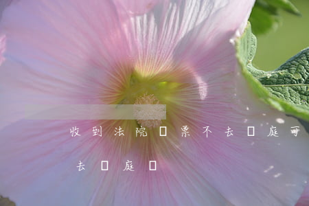 收到法院傳票不去開庭可以嗎(沒有傳票可以去開庭嗎)
