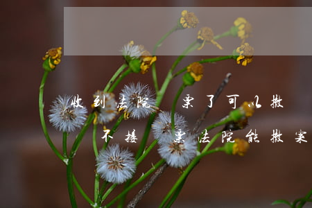 收到法院傳票了可以撤訴嗎(被告不接法院電話不接傳票,法院能撤案嗎)