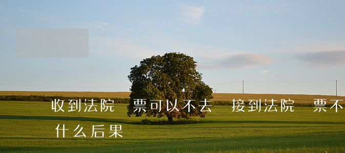 收到法院傳票可以不去嗎(接到法院傳票不去什么后果)