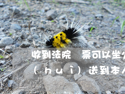 收到法院傳票可以坐火車嗎(法院傳票一定會(huì)送到本人手里嗎)