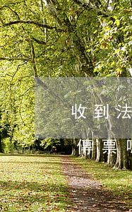 收到法院傳票可以委托律師嗎(律師函是法院傳票嗎)