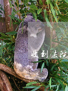 收到法院傳票可以要求寄嗎