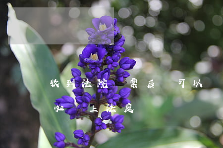 收到法院傳票后還可以買房嗎(收到傳票了就必須上法庭嗎)