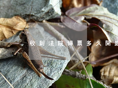 收到法院傳票多久開庭