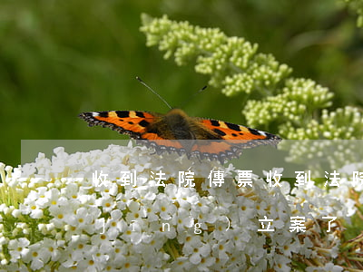 收到法院傳票(收到法院傳票,是不是就已經(jīng)立案了)