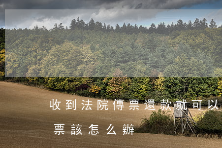 收到法院傳票還款就可以嗎(如果收到法院傳票該怎么辦)
