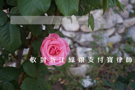 收到浙江綠銀支付寶律師函怎么辦